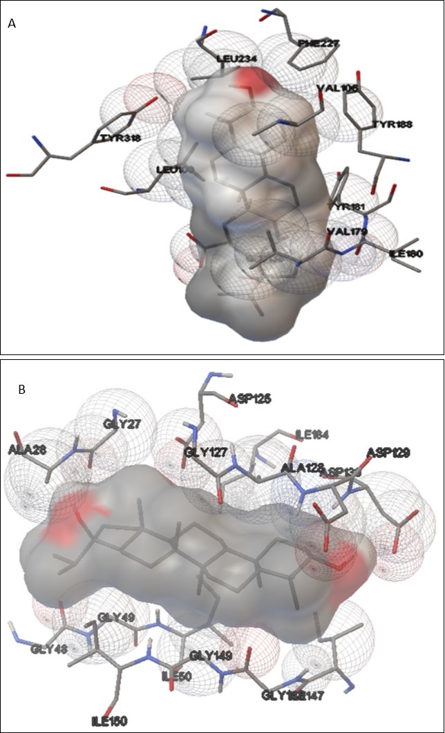 Protein-ligand interactions: (a) Indicates interaction between HIV-1 RT and carandinol (b) Indicates interaction between HIV-1 protease and carandinol