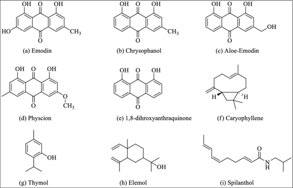 Structures of some compounds isolated from Senna occidentalis