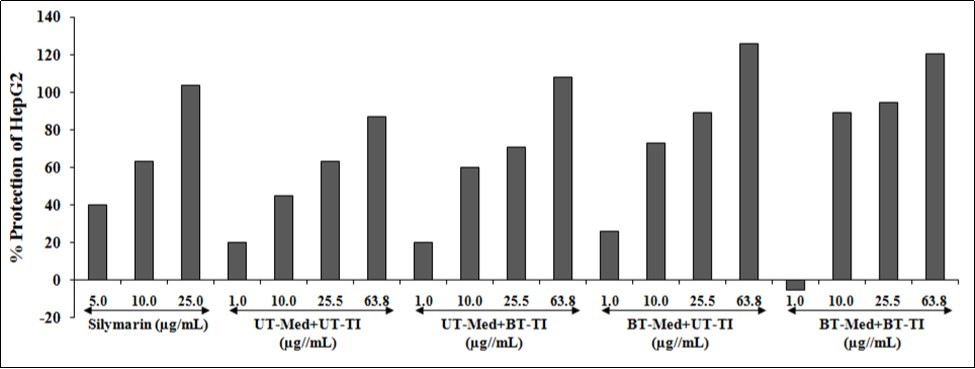 Effect of the test formulation on the percent protection of human liver cancer (HepG2) cells in terms of decreased alanine amino transaminase (ALT) activity under the stimulation of tert-butyl hydroperoxide (t-BHP). UT: Untreated; Med: Medium; BT: Biofield Treated; TI: Test item.