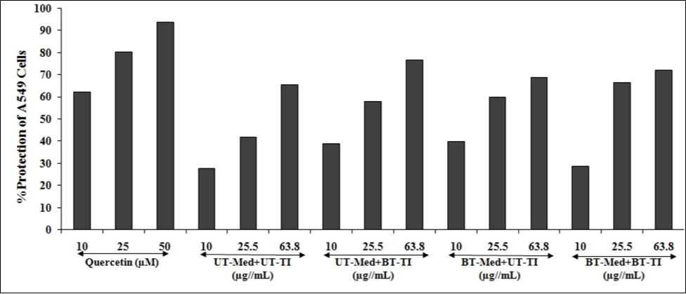 Effect of the test formulation on the percent protection of lungs cells (A549) in terms of increased SOD activity under the stimulation of tert-butyl hydroperoxide (t-BHP). UT: Untreated; Med: Medium; BT: Biofield Treated; TI: Test item.