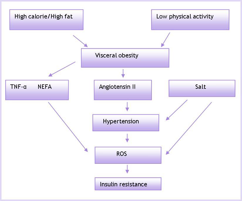 Mechanism for Insulin Resistance in Metabolic Syndrome. TNF-α- tumor necrosis factor α, NEFA- non-esterified fatty acids.Adopted from Toshiro,76