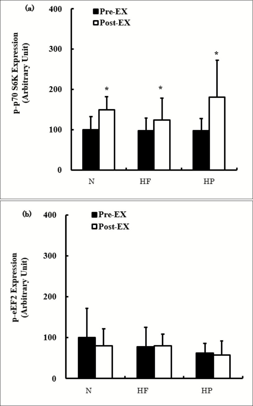 The expression of p-p70 S6K (a) and p-eEF2 (b) before and after exercise. The values are presented as the means ± SD. * p < 0.05 vs. Pre-Ex.