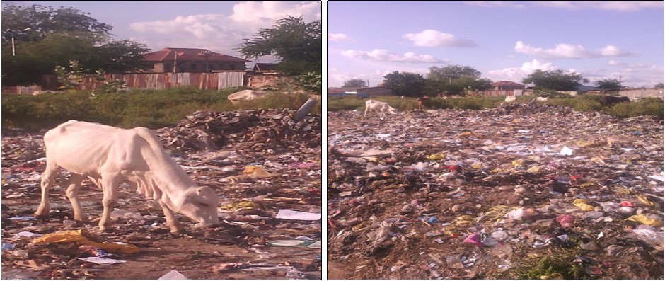 picture of some place with rampant disposal of polyethylene bags in Gusau city of Zamfara state Nigeria