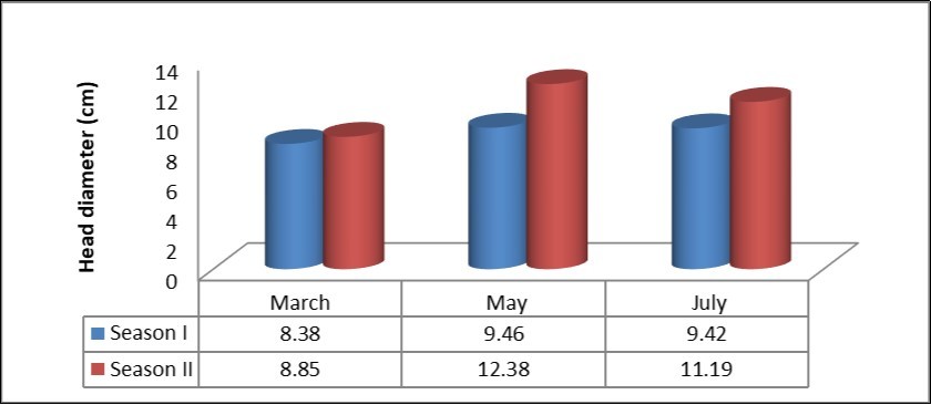 Effect of sowing date on head diameter (cm.)- Khartoum-Sudan (2014/ 2015-2015/2016