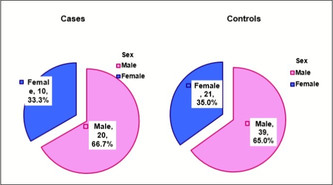 Distribution of the participants by their gender