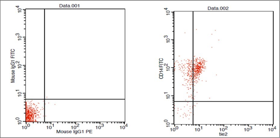 F. HCC Patient CD 14 & Tie2 coexpression 10% & isotopic control.
