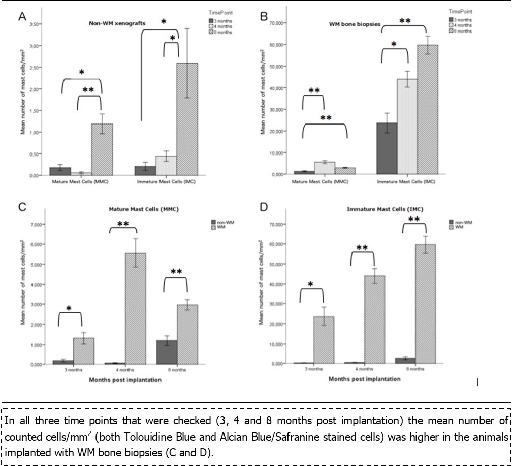 A and B diagrams represent the mean number of the MMC and IMC counted cells/mm2 over time in the non-WM bone fragments (A) and WM bone biopsies (B). * P< 0.05, ** P< 0.001. C and D Comparative evaluation of MMC (C) and IMC (D) counted cells/mm2 over time in the non-WM bone fragments and WM bone biopsies. * P< 0.05, ** P< 0.001