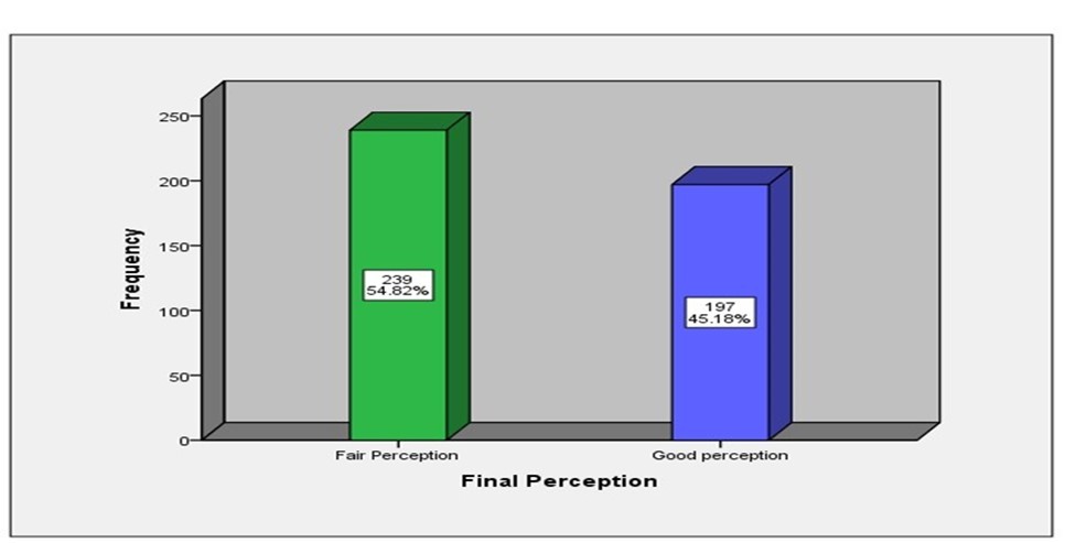 Frequency and percentage of hand hygiene perception
