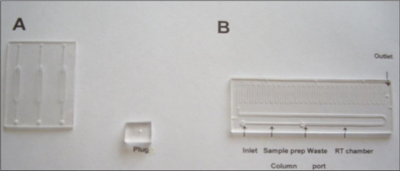 Microfluific devises employed in this research. (A) Low throughput (LT) device. (B) High throughput (HT) device showing three sections: sample preparation column, RT chamber and above them are PCR channels. Plug to seal inlet and outlet of the device is shown in the background.