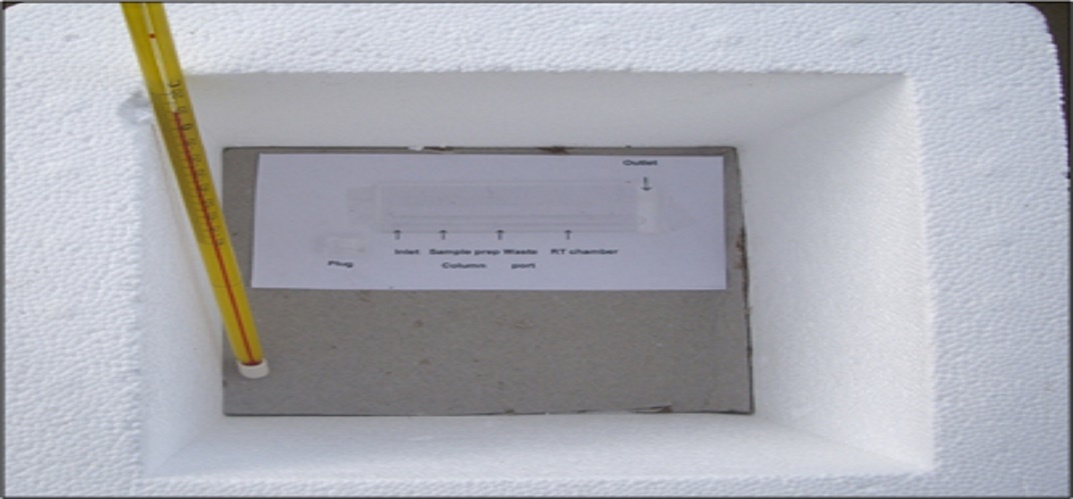 Styrofoam box containing the HT microfluidic device and a thermometer