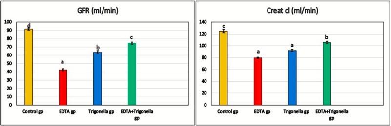 The effect of EDTA and Trigonella foenum on glomerular filtration rate (GFR) and creatinine clearance (Creat cl).