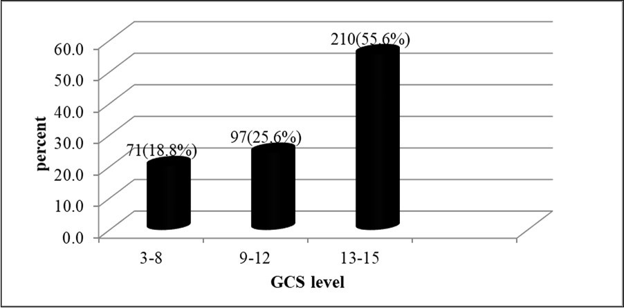 Distribution of severity of traumatic brain injury treated at the surgical side, in Nekemte Referral Hospital, Oromia, and Ethiopia from July 8, 2016 to July 7, 2018.