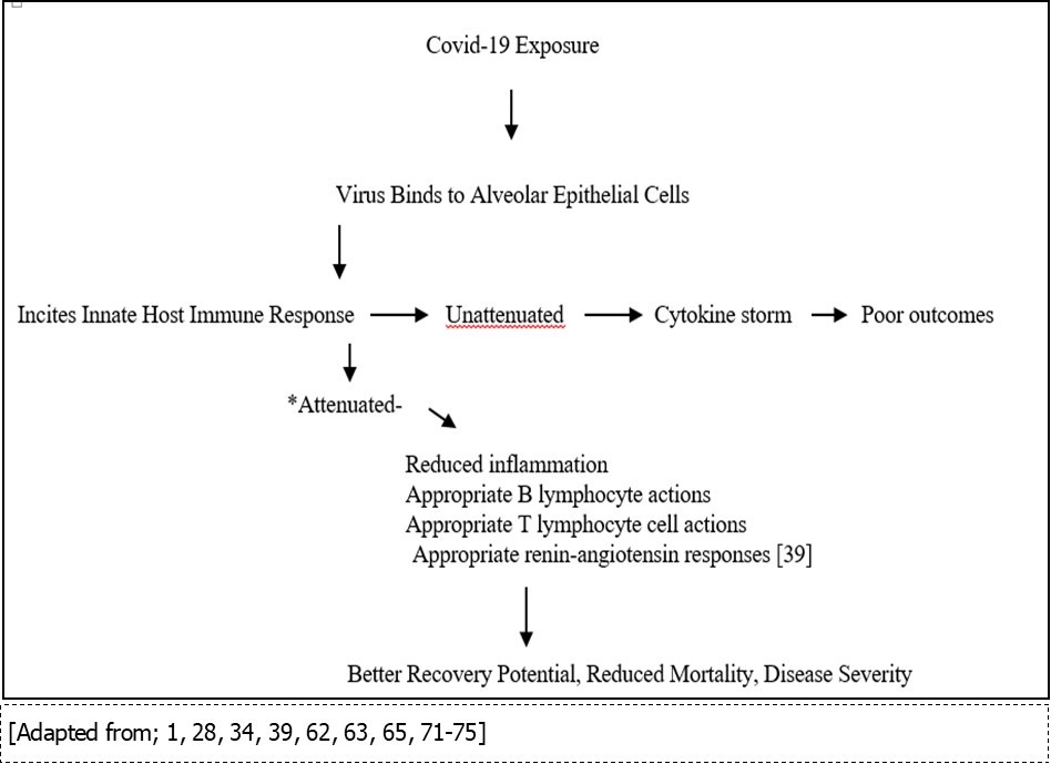 Possible Pathways of Covid-19 Infections: *-showing mechanisms where vitamin D may be helpful