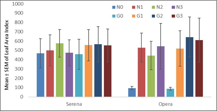 Impact of Guano and Nitrogen on Leaf Area Index of Seren and Opera cultivars (AlKadaro, Sudan, 2017)