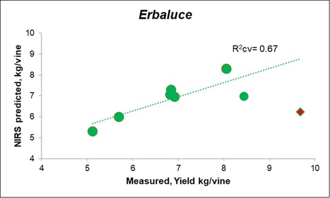 Biplot of the measured (X) vs. predicted yield from Litterbag-NIRS for the Erbaluce vines.