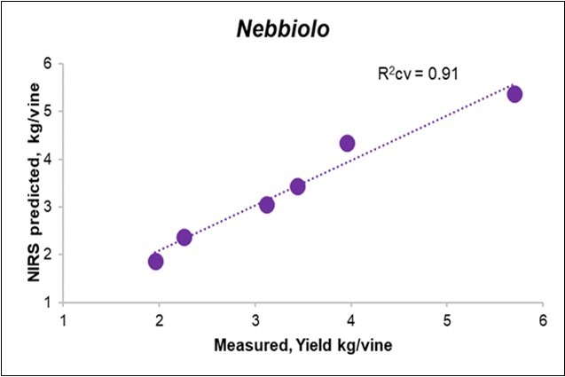 Biplot of the measured (X) vs. predicted yield from Litterbag-NIRS for the Nebbiolo vines.