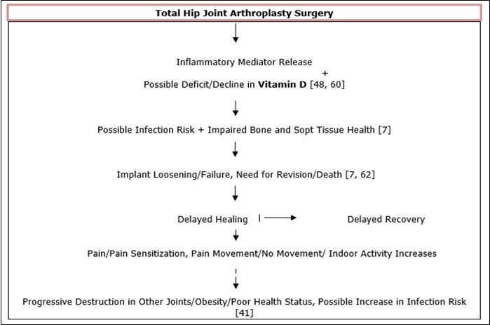 Hypothesized Interactive Mechanisms In Face Of Vitamin D Deficits At Time Of Hip Joint Total Arthroplasty Surgery.
