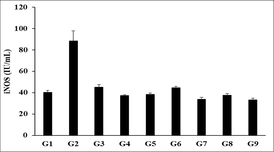 The effect of the test formulation on the level of inducible nitric oxide synthase (iNOS) on kidney tissue homogenate in Sprague Dawley rats.