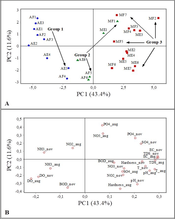 Analysis of main components of score plot type (A) and loading plot (B) on the data of the variables determined in the dry period (August and November) under ebbing and flooding tide and conditions in 2011. Note: AE (Arienga ebbing tide); AF (Arienga flooding tide); ME (Murucupí ebbing tide); MF (Murucupí flooding tide).