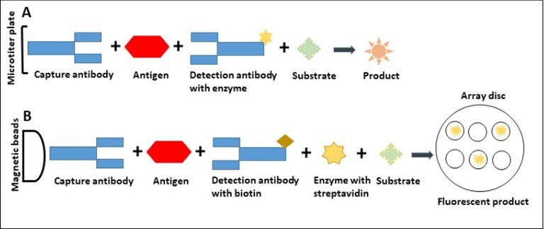 Scheme of conventional sandwich ELISA (A) and digital ELISA (B)