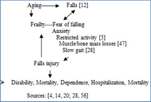 Conceptual Model of Multiple Interrelated Factors Potentially Impacting Frailty Cumulatively