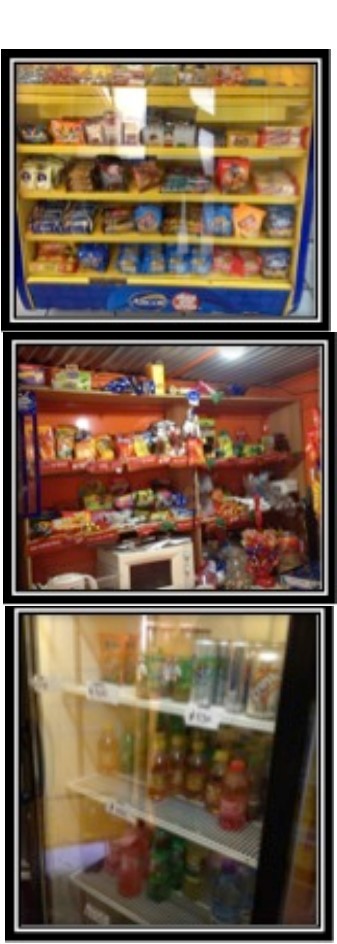 Visual observations were also made of food items sold at each participating school’s food kiosk to confirm the owners’ self-reported information.