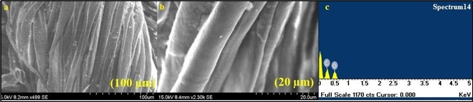 Scanning electron microscope analysis of Mg0.45Mn0.55−xNixFe2O4 (0.00 ≤ x ≤ 0.55) ferrite particles loaded cotton fabrics (a & b) Mg0.45Mn0.55−xNixFe2O4 (0.00 ≤ x ≤ 0.55) ferrite particles loaded cotton fabrics showing rough surface; (c) EDS spectrum of Mg0.45Mn0.55−xNixFe2O4 (0.00 ≤ x ≤ 0.55) ferrite particles loaded cotton fabric showing strong peaks of ferrites