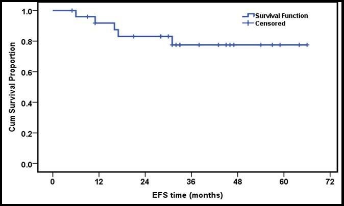 3 years EFS of the whole group of patients