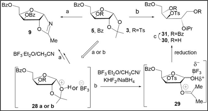 Study of BF3.OEt2-assisted transformations of protected xylofuranose acetonides 3 and 5 on the 1,3-dioxolane ring in acetonitrile. Reagents and conditions: (a) 5, CH3CN, p-TsOH, BF3.Et2O, rt, 18 h; 1N aq NaOH, 9, 78%; (b) 3, KHF2/BF3.Et2O, NaBH4, CH3CN, rt, 5% aq NaHCO3, 40%, 30; (c) BzCl, Py, rt, 31, 65%.