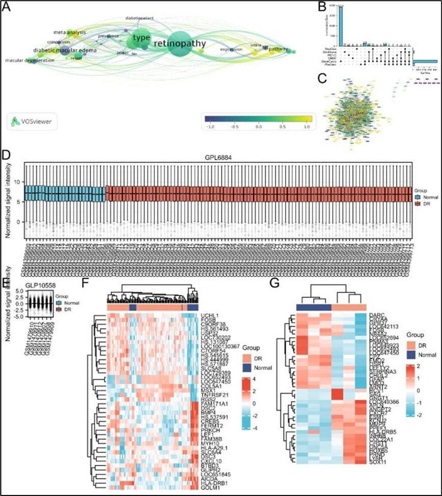 DR-Targets Database Construction. 2A. Keyword co-occurrence cluster of DR research based on bibliometric analysis in recent 20 years. 2B-2C. The DR-related target from 6 Database. 2D-2E. Normalization of different batch samples. 2F-2G. The DR-related target from GEO Database.