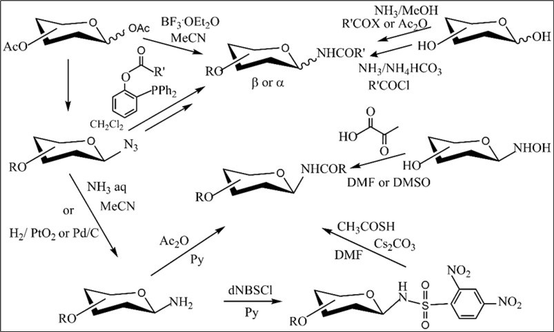 The known synthetic routes to N-glycosyl amides