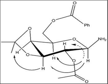 1D NOE correlations for β-d-galactopyranosylamine derivative 59β
