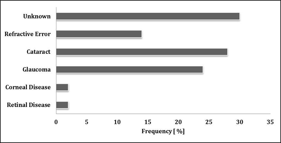 Causes of visual impairment.