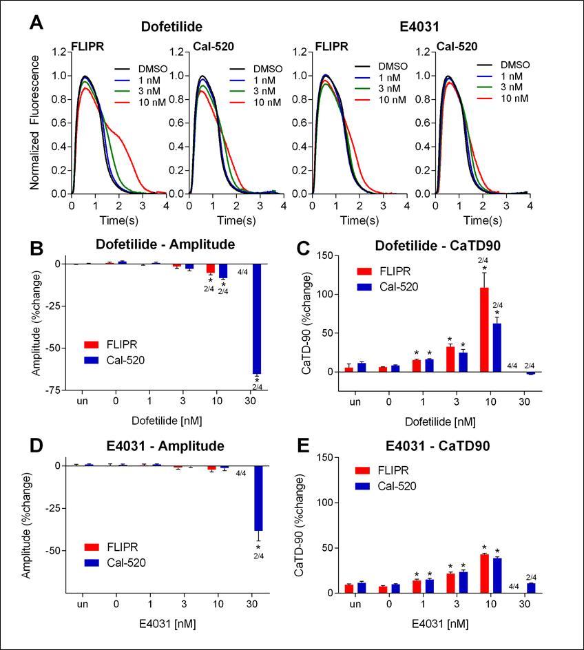 Analysis of CaT profiles drug-treated iPSC-derived cardiomyocytes measured using FLIPR and Cal-520 calcium dye. FLIPR and Cal-520 loaded iPSC-derived cardiomyocytes treated with increasing concentrations of dofetilide and E4031 and analysis of (A) average traces, (B) and (D) amplitude, (C) and (E) CaT duration-90. Asterix (*) indicates a significant difference (P<0.05) from vehicle-treated groups by t-test analysis and a number above the bar indicates the fraction of the total number of wells where traces showed EAD and were not included in the analysis. Percent changes were computed by 100 X (Treated Read3-Pretreated Read2)/(Pretreated Read2) for each well. There was no significant difference between no treatment and vehicle treated groups.