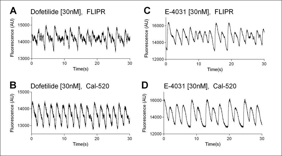 CaT traces of FLIPR and Cal-520 stained cardiomyocytes treated with the highest concentration of Dofetilide and E-4031. All wells exhibited irregular CaT traces displaying varying degrees of EAD.