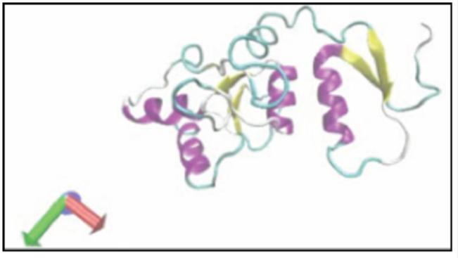 Dynamic Protein Model of the BRCA1 Pro1812Ala Variant