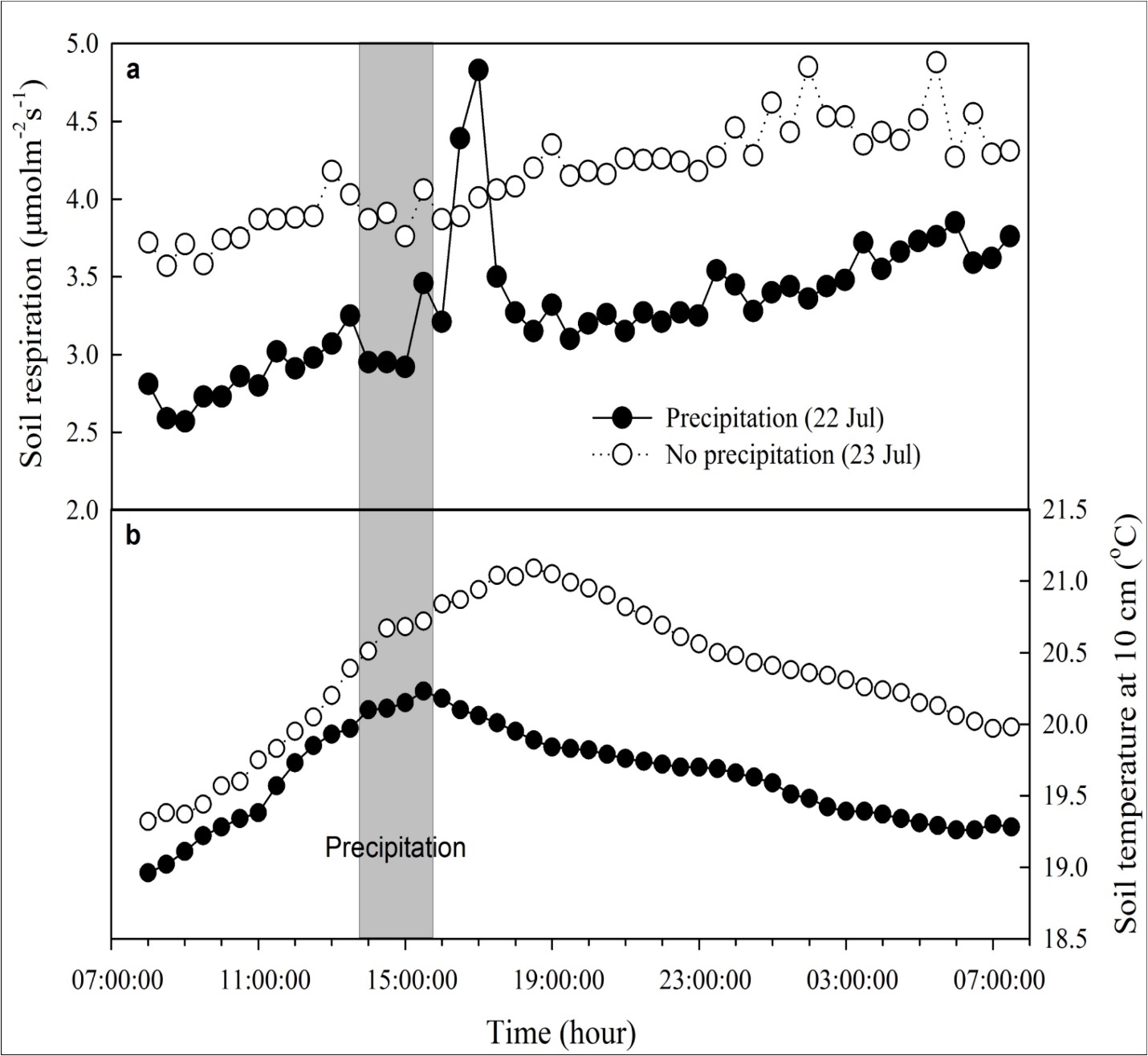 Dynamic responses of soil respiration and soil temperature at 10 cm for forest gap to 4.78 mm precipitation (solid circles, from 8:30 on 22 July to 8:30 on 23 July), and corresponding time courses on the following clear day (open circles, from 8:30 on 23 July to 8:30 on 24 July). Gray box indicates time span of precipitation event from 13:50 to 15:45 on 22 July.