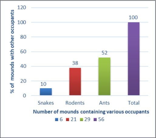Number of mounds with various occupants