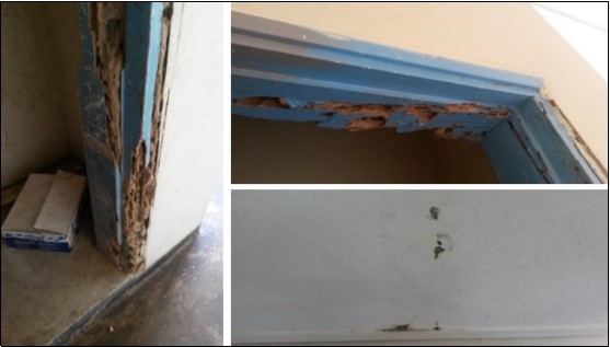 Termite damage spotted on door frames and boards at CBU offices in Kitwe, Zambia