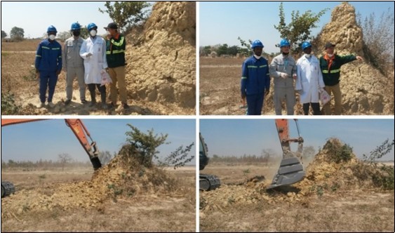 Termite mounds before leveling them and their demolition in action at the site