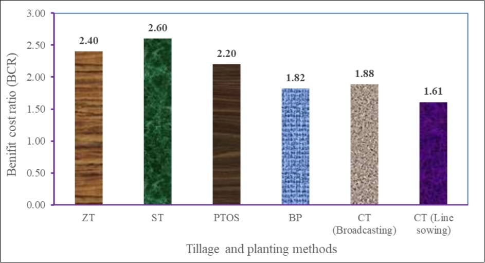 Benefit cost ratio of mungbean cultivation by different tillage and planting methods.