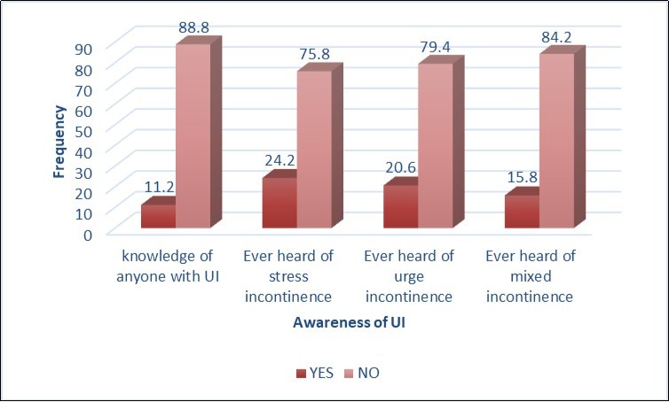 Participants’ general knowledge of UI