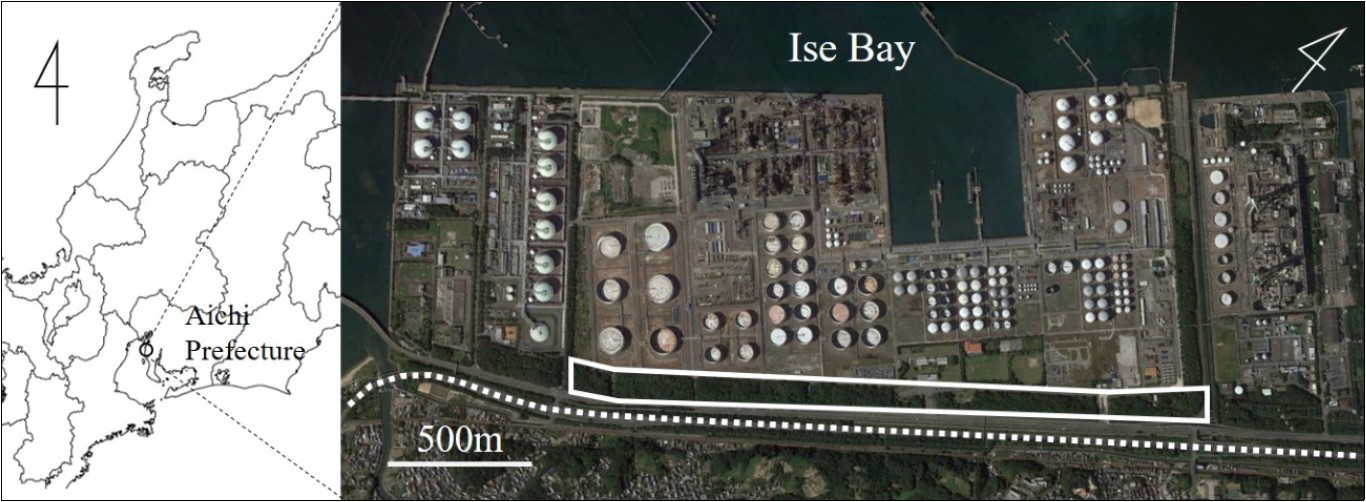 Map and aerial photograph of the industrial green space examined in this study: Aichi Refinery of Idemitsu Kosan Co., Ltd. Solid line and dotted line indicates the industrial green space and the Chita industrial road, respectively. Map data were extracted from Google, DigitalGlobe.