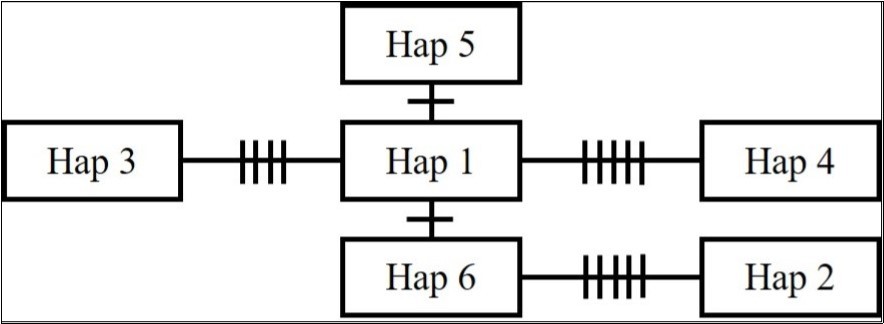 Minimum spanning network of haplotypes based on the D-loop region of mitochondrial DNA of Apodemus speciosus in industrial green space of the Aichi Refinery of Idemitsu Kosan Co., Ltd. in Aichi Prefecture, Japan. Each haplotype name in the square is shown in Table 1. The number of vertical lines on branches represents the number of different bases (polymorphisms) between haplotypes.