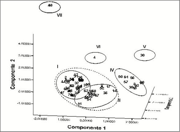 Spatial distribution of the 71 accessions in three components. The distribution was generated by the PCA of the cytogenetic, isoenzymatic and morpho-agronomic data analyzed in an integrated way.