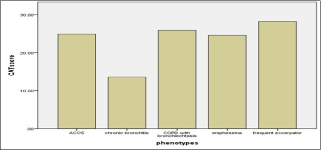 CAT score of different COPD phenotypes
