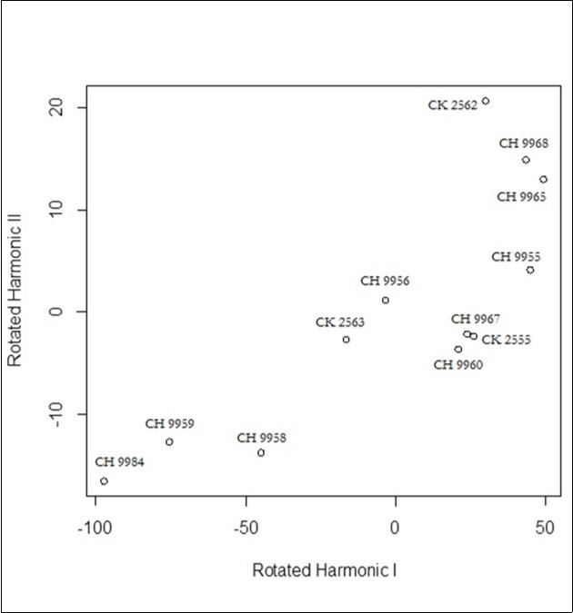 Functional Principal Components related to BH