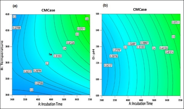 Response surface plots showing cumulative effect on cellulase (CMCase) production (a) Contour plots for combined effect of incubation time and temperature (b) Contour plots for combined effect of incubation time and pH