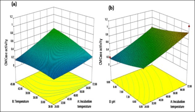 Response surface plots showing cumulative effect on cellulase (CMCase) production (a) Maximum cellulase activity at 1 level of temperature and incubation time both (b) Highest cellulase activity at -1 level for pH and 1 level of incubation temperature
