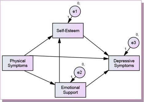 The initial/hypothesized path model with combined family & friend support